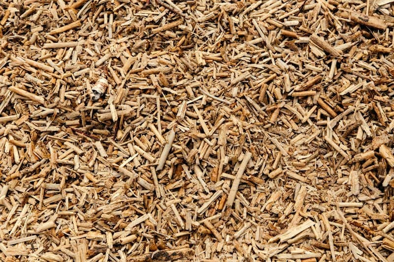 Chipped Pecan Wood