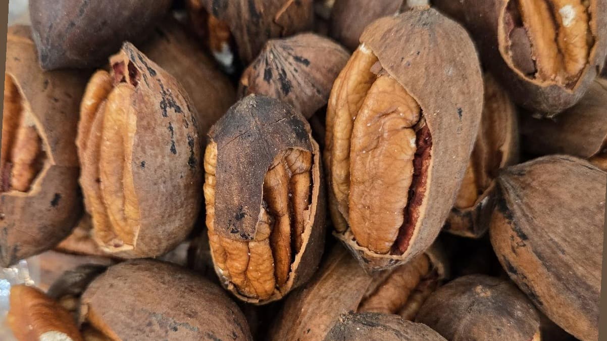 Cracked Pecans